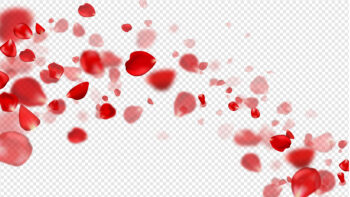 ขั้นตอนก่อนศัลยกรรมจุดซ่อนเร้น