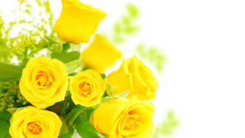 ขั้นตอนก่อนศัลยกรรมจุดซ่อนเร้น สำหรับผู้ป่วยนอก